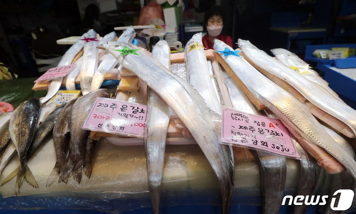 일본 정부가 후쿠시마 오염수 해양 방출을 공식 결정한 13일 오전 제주시 이도일동 동문수산시장에서 상인들이 수산물을 손질하고 있다. 이날 제주연구원은 방사성물질 오염수가 해류를 따라 제주 연안으로 유입되면 해양생태계와 수산업계에 상당한 영향을 미칠 우려가 있다며, 오염수 해양 방류에 따른 단계별 대응방안 시스템 구축이 필요하다고 제안했다.2021.4.13/뉴스1 ⓒ News1 오현지 기자