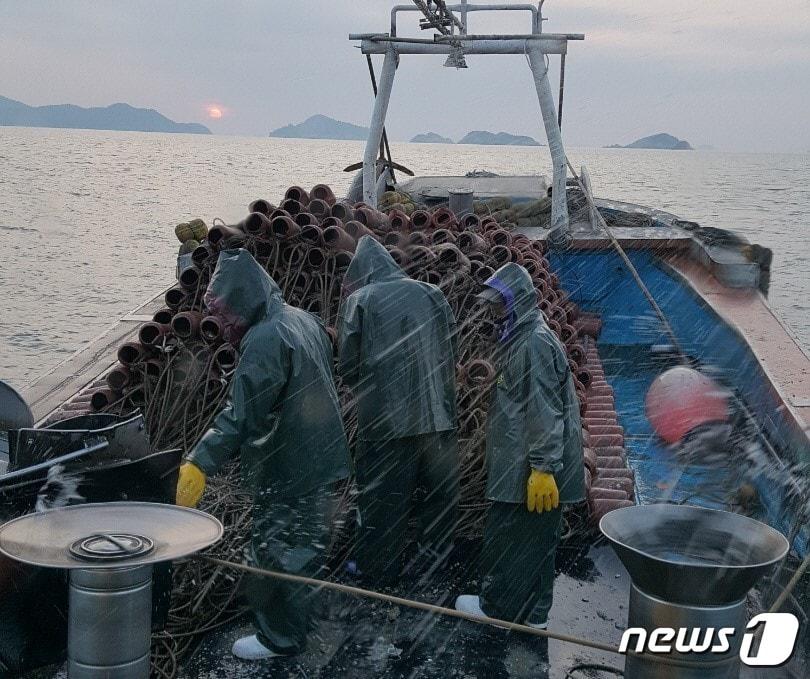 본문 이미지 - 참문어 조업 어선원.(여수시 제공) ⓒ News1 지정운 기자