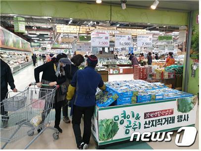 본문 이미지 - 전국 대형마트‧하나로마트‧온라인 쇼핑몰에 본격 판매되는 강원 산나물(농협 강원지역본부 제공)ⓒ 뉴스1