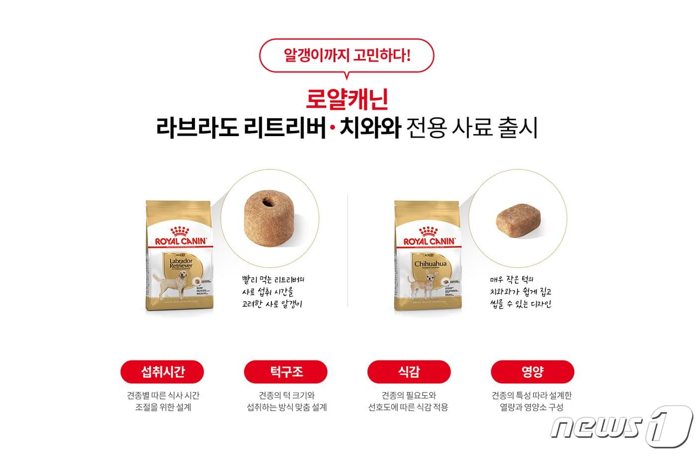 본문 이미지 - 래브라도 리트리버와 치와와 전용 사료. 사진 로얄캐닌 제공 ⓒ 뉴스1