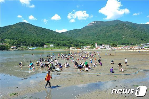 본문 이미지 - 어촌체험휴양마을 겟벌체험(해양수산부 제공)ⓒ 뉴스1