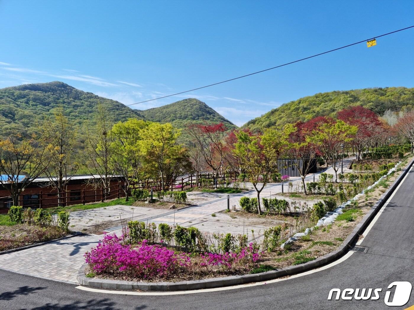 본문 이미지 - 전북 고창군 선운산도립공원에 캠핑마니아들의 수요를 충족시킬 국민여가캠핑장이 조성됐다.   ⓒ 뉴스1