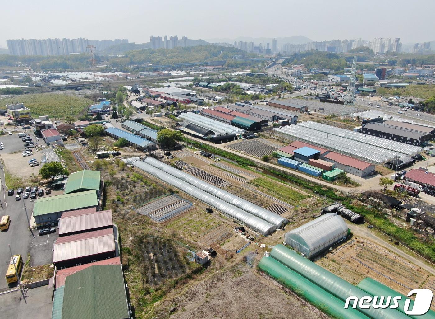 본문 이미지 - 남양주 왕숙 지구.&#40;자료사진&#41;뉴스1 ⓒ News1 박정호 기자