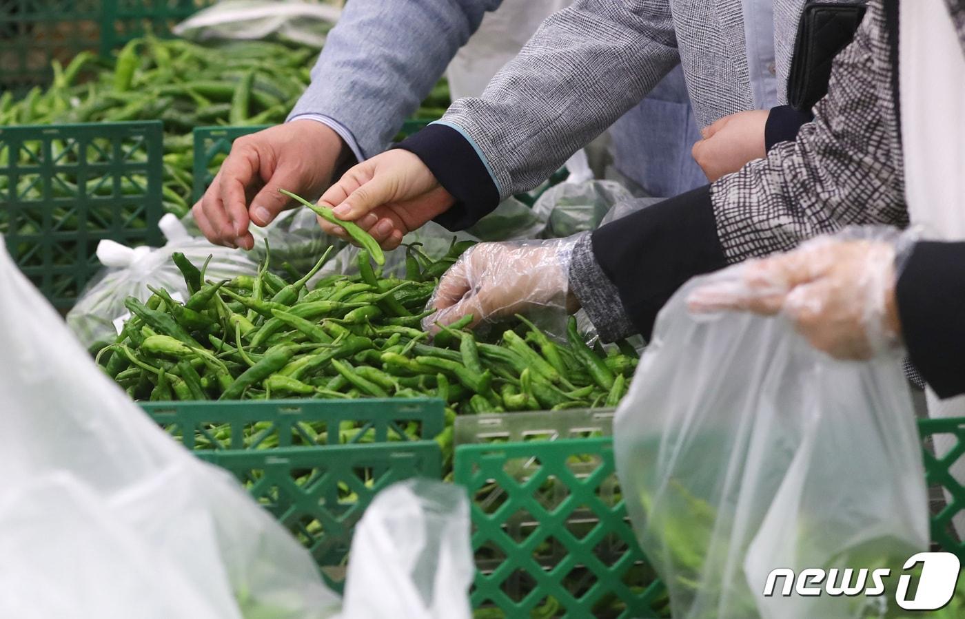 본문 이미지 - 마트 식품코너. (뉴스1 DB)