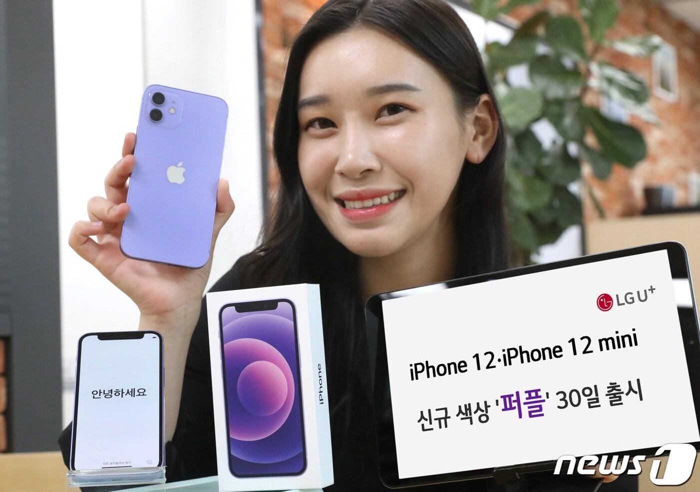 본문 이미지 - LG유플러스가 오는 30일 아이폰12 퍼플 색상을 출시한다고 밝혔다. ⓒ 뉴스1