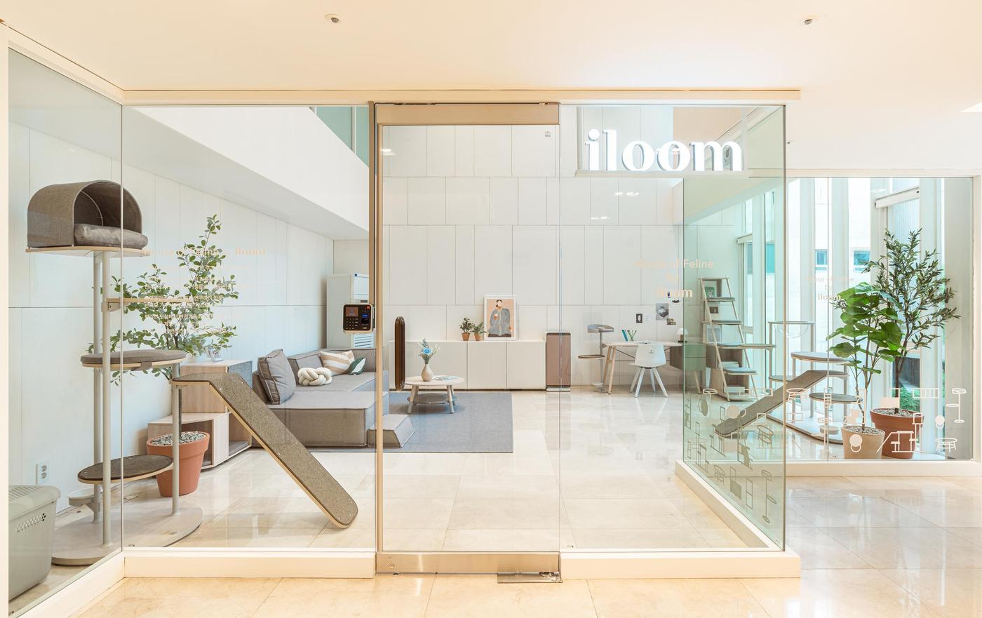 일룸 '캐스터네츠'와 '놀로'의 협업 전시 공간 '하우스 오브 펠린'. (일룸 제공) ⓒ 뉴스1