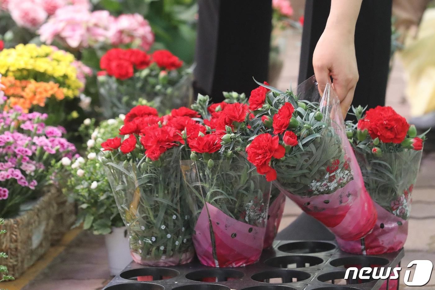 본문 이미지 - 신종 코로나바이러스 감염증(코로나19)이 계속 확산하면서 어린이날, 어버이날 휴일에 가족들과의 외출, 만남 등이 쉽지 않아 보인다. 사진은 꽃시장에서 한 시민이 카네이션을 구매하고 있는 모습. ⓒ News1