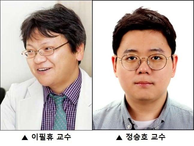 본문 이미지 - ⓒ 뉴스1