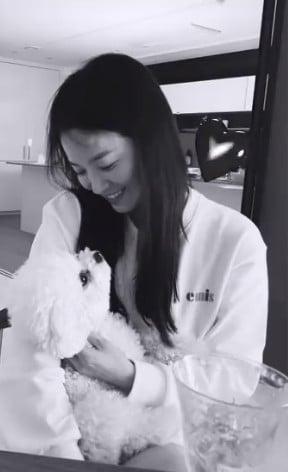 본문 이미지 - 송혜교 인스타그램 스토리 캡처 ⓒ 뉴스1