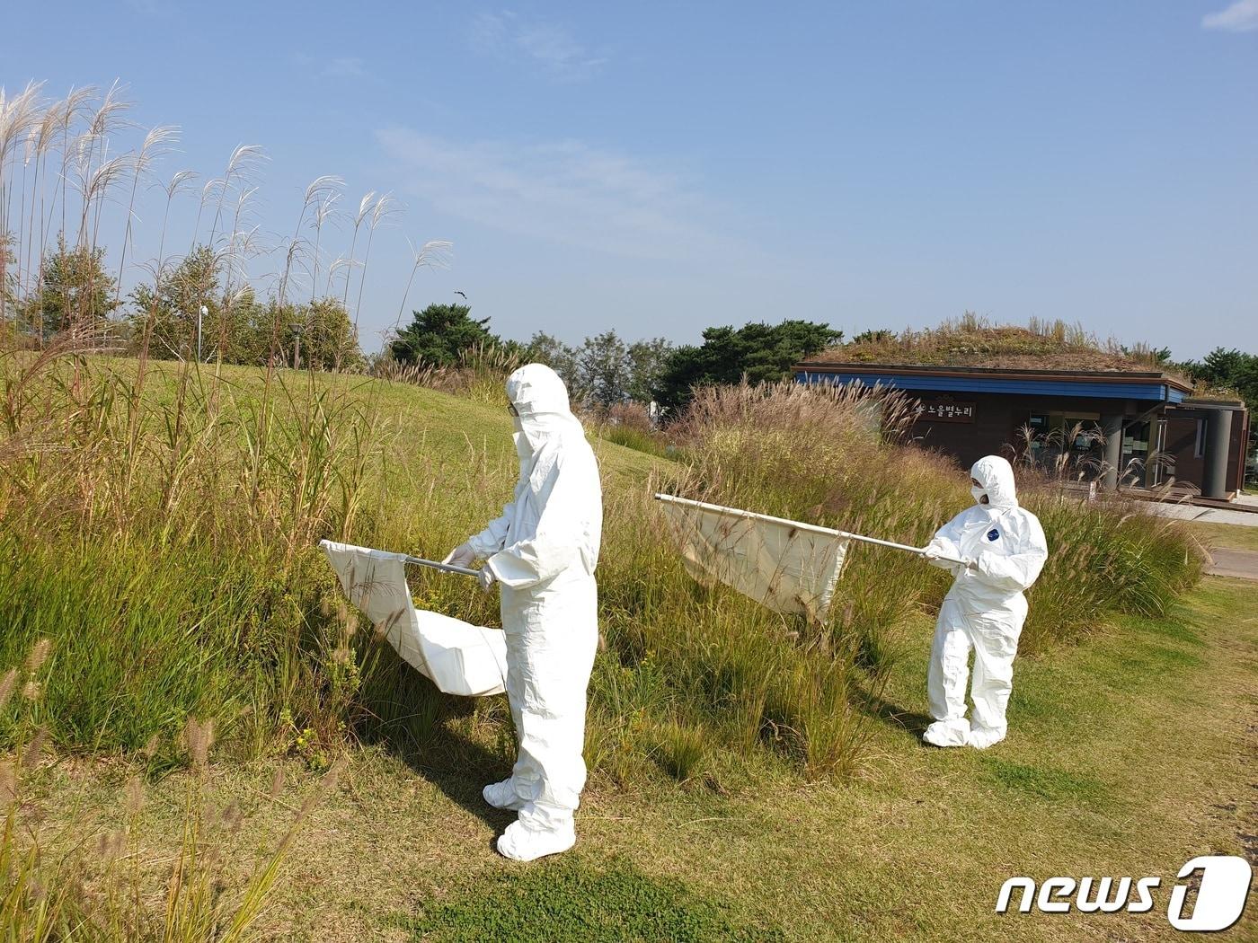 본문 이미지 - 진드기 채집 조사 자료 사진.ⓒ 뉴스1