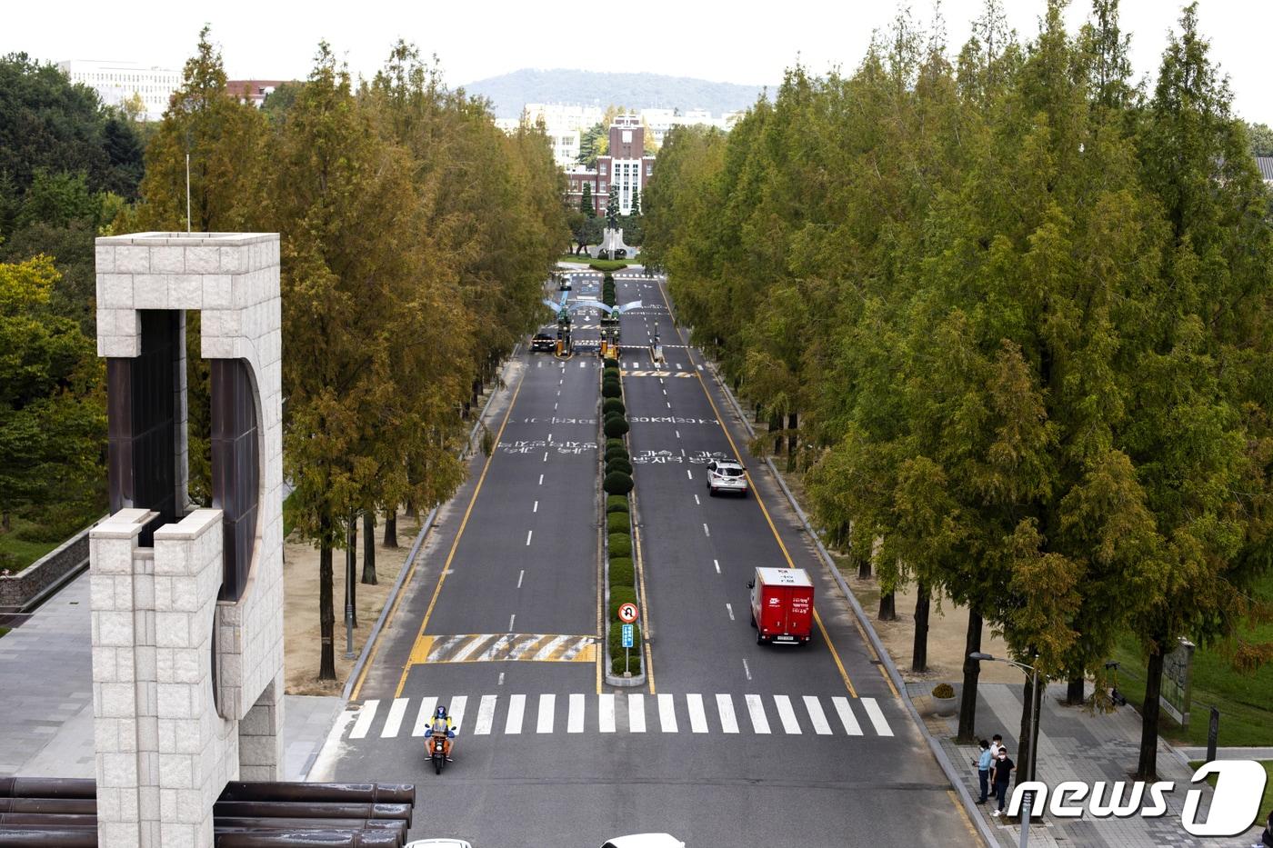 전남대 정문 관현로 전경.(전남대 제공)/뉴스1 ⓒ News1 