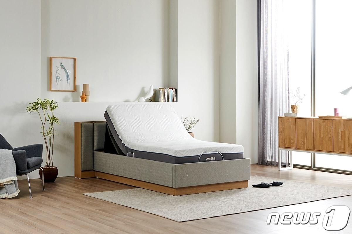 본문 이미지 - ⓒ 뉴스1