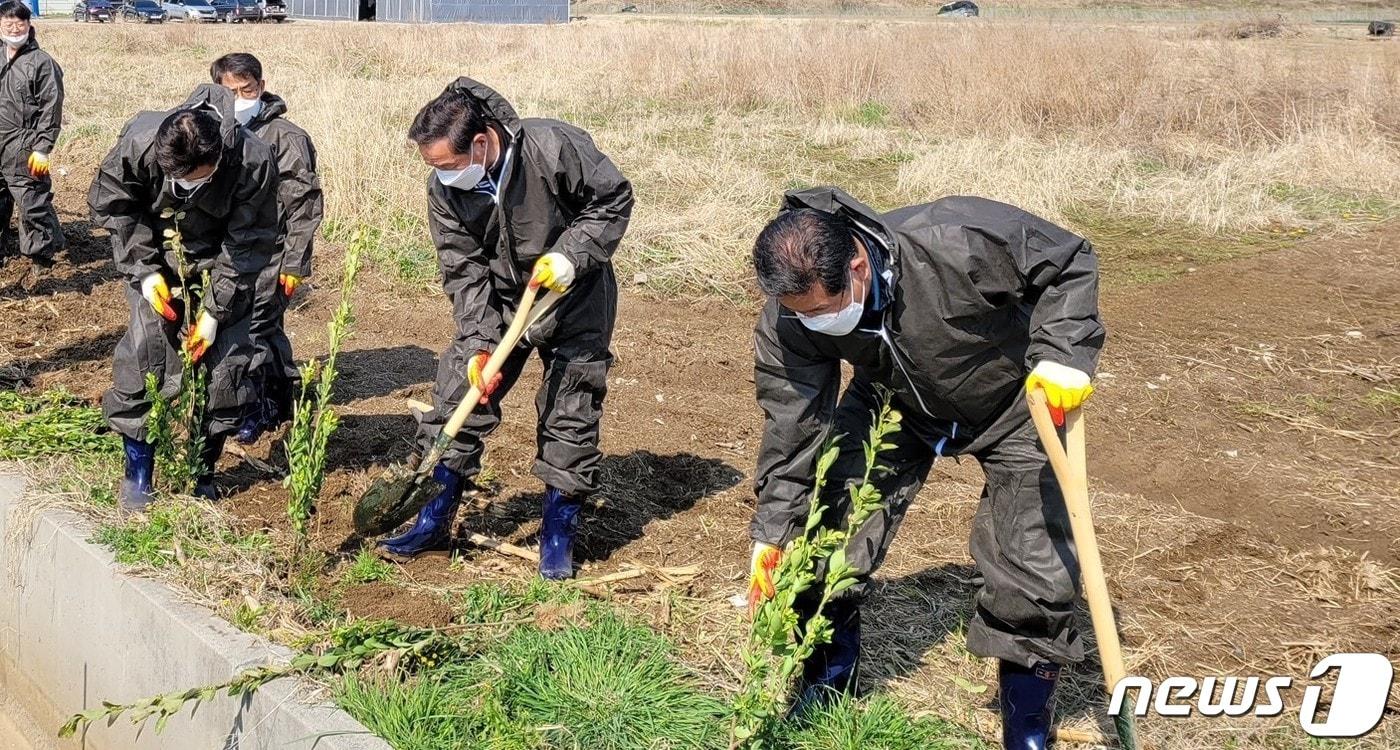 본문 이미지 - 강원농협, 깨끗한 축산사업장 만들기 방취림 조성 행사 실시(농협 강원지역본부 제공)ⓒ 뉴스1