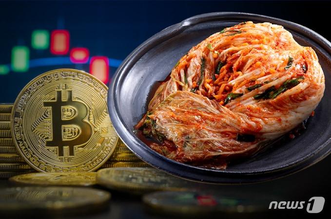 본문 이미지 - ⓒ News1 김일환 디자이너