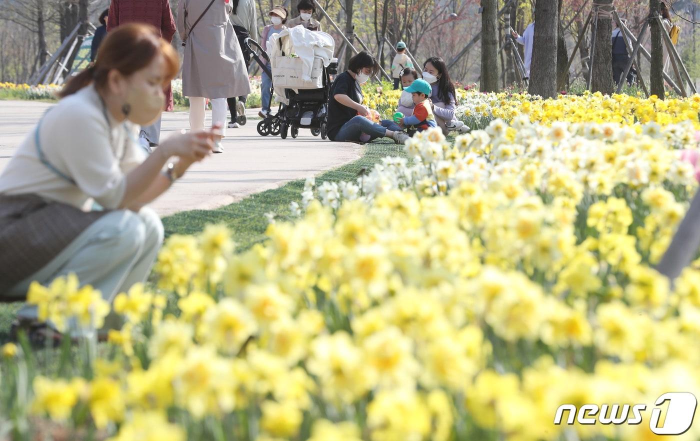 본문 이미지 - 포근한 봄 날씨를 보인 9일 서울 강서구 서울식물원에서 시민들이 봄꽃을 감상하고 있다. 2021.4.9/뉴스1 ⓒ News1 이성철 기자