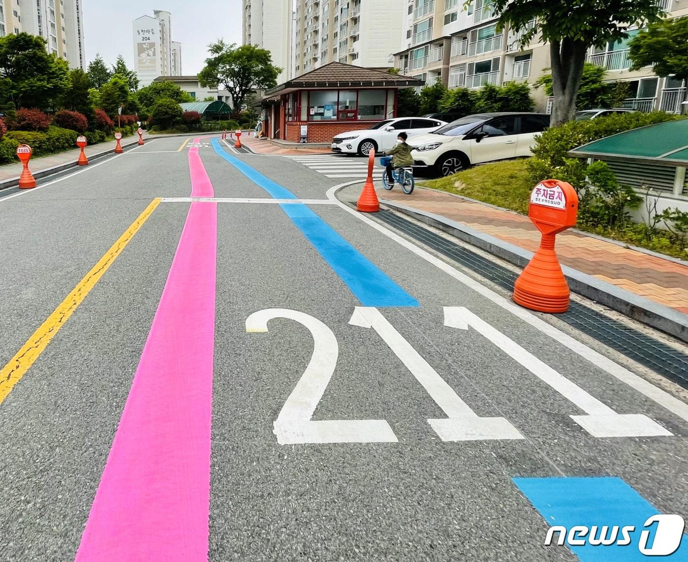 본문 이미지 - 광주시 소방안전본부가 아파트 단지 내부에 설치한 '119출동유도선'. 119출동유도선은 공동주택 진입로에 각 동별 소방 출동로를 페인트(적색·청색)로 표시해 복잡한 아파트 단지 내부에서 화재·구급 출동 소방차량이 출동 지령의 해당 동까지 신속히 갈 수 있게 알려주는 표시선이다.(광주시 제공)2021.5.11/뉴스1 ⓒ News1