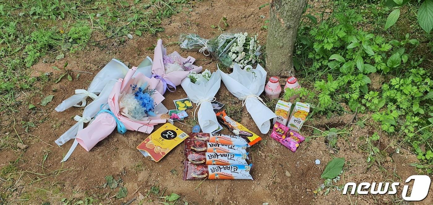 지난해 5월12일 극단적인 선택을 한 청주 여중생 2명이 처음 발견된 곳에 국화 꽃다발 등이 놓여있다./ⓒ 뉴스1 조준영 기자