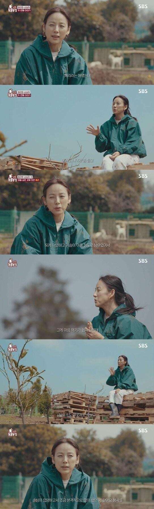 본문 이미지 - 동물농장 이효리ⓒ 뉴스1