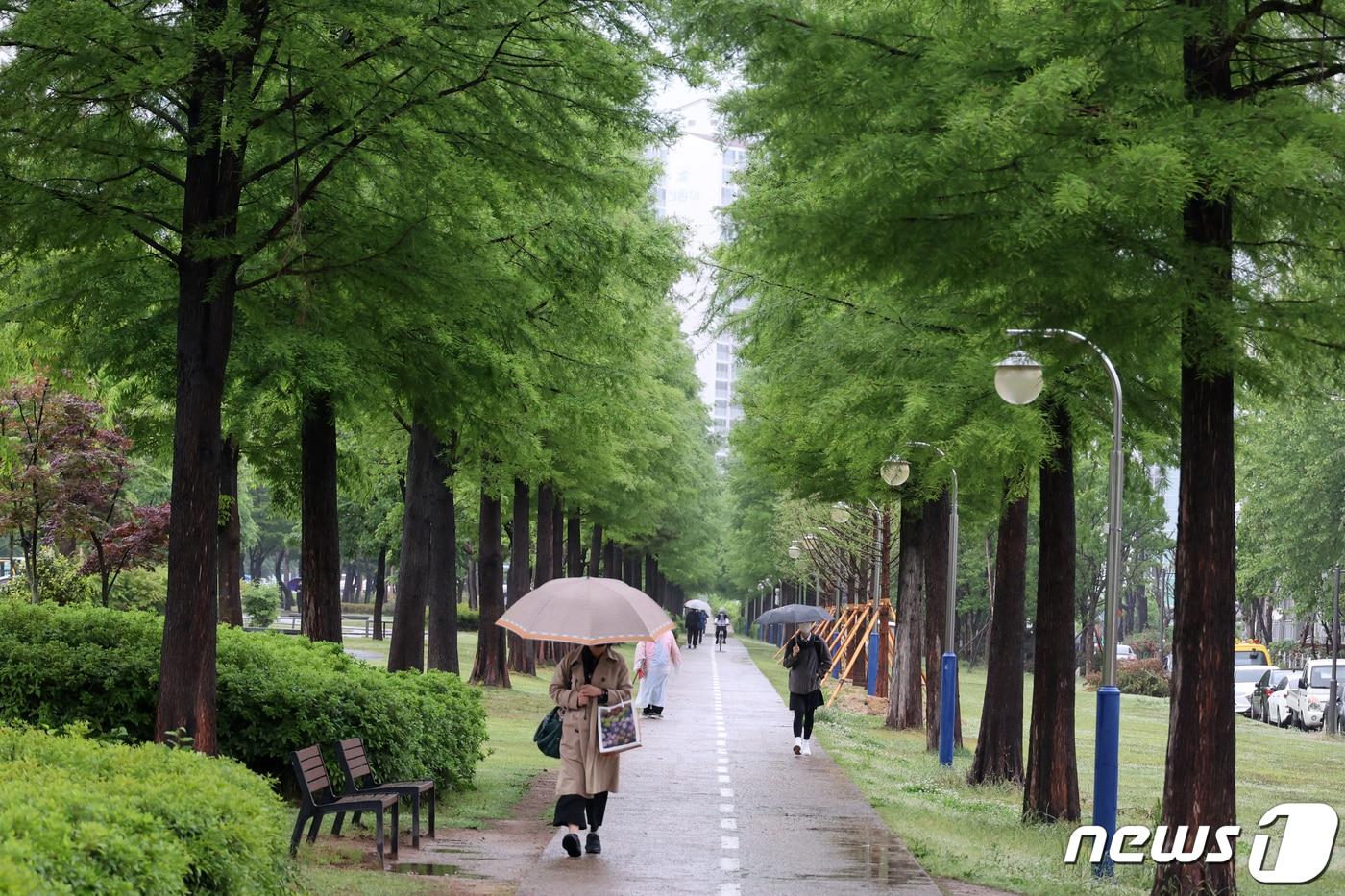 계룡시가 ‘계룡 입암산업단지 기후대응 도시숲 조성 사업’을 본격 추진한다. 사진은 경북 포항시 북구 학산동 도시 숲길.ⓒ News1 최창호 기자 (사진은 기사 내용과 무관함) / 뉴스1 ⓒ News1