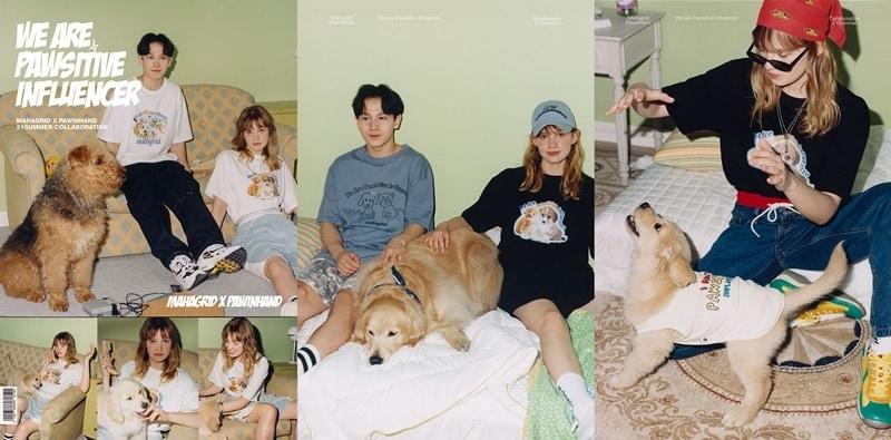 본문 이미지 - 유기동물 입양 캠페인. 사진 마하그리드 제공 ⓒ 뉴스1