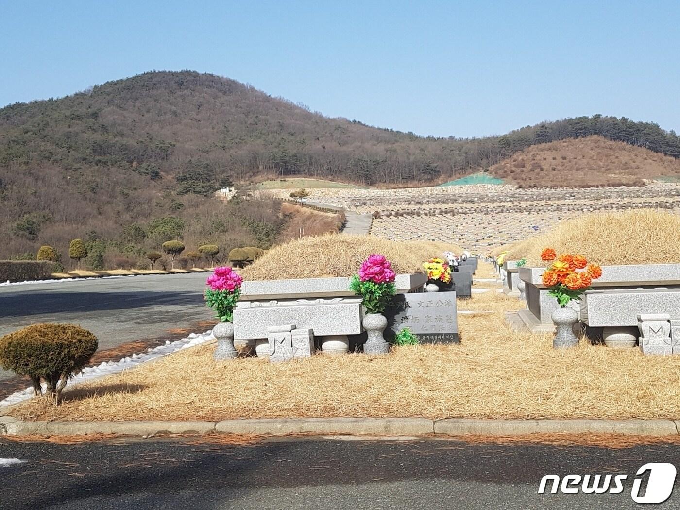 본문 이미지 - 윤석열 전 검찰총장의 조부가 안장된 세종시 한 공원묘원. (김두규 우석대 교수 제공) ⓒ 뉴스1