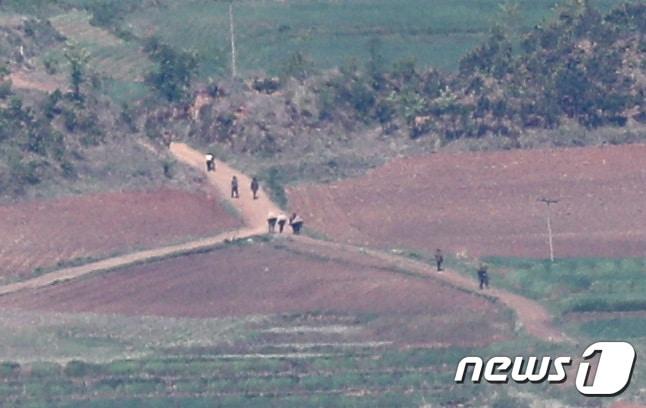 본문 이미지 - 2일 오전 경기도 파주시 오두산통일전망대에서 바라본 북한 개풍군 마을 일대에서 주민들이 이동하고 있다. 2021.5.2/뉴스1 ⓒ News1 이성철 기자