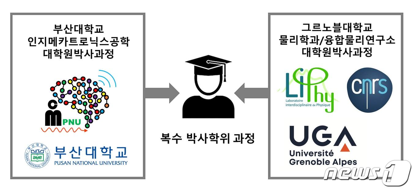 본문 이미지 - 부산대 제공ⓒ 뉴스1
