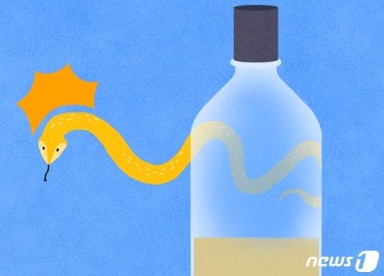 본문 이미지 - ⓒ News1 이지원 디자이너