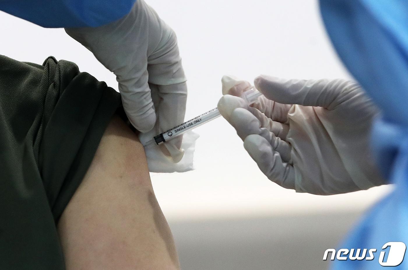 본문 이미지 - 뉴스1 ⓒ News1 오대일 기자