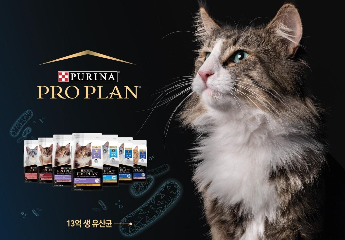 프로플랜 캣. 사진 네슬레 퓨리나 제공 ⓒ 뉴스1