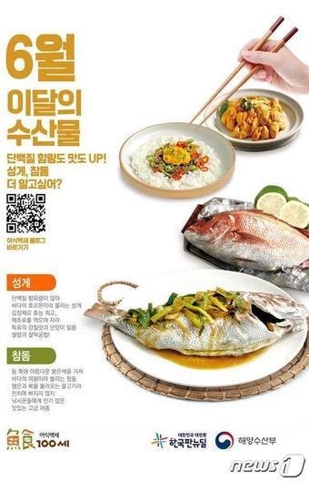 본문 이미지 - ⓒ 뉴스1