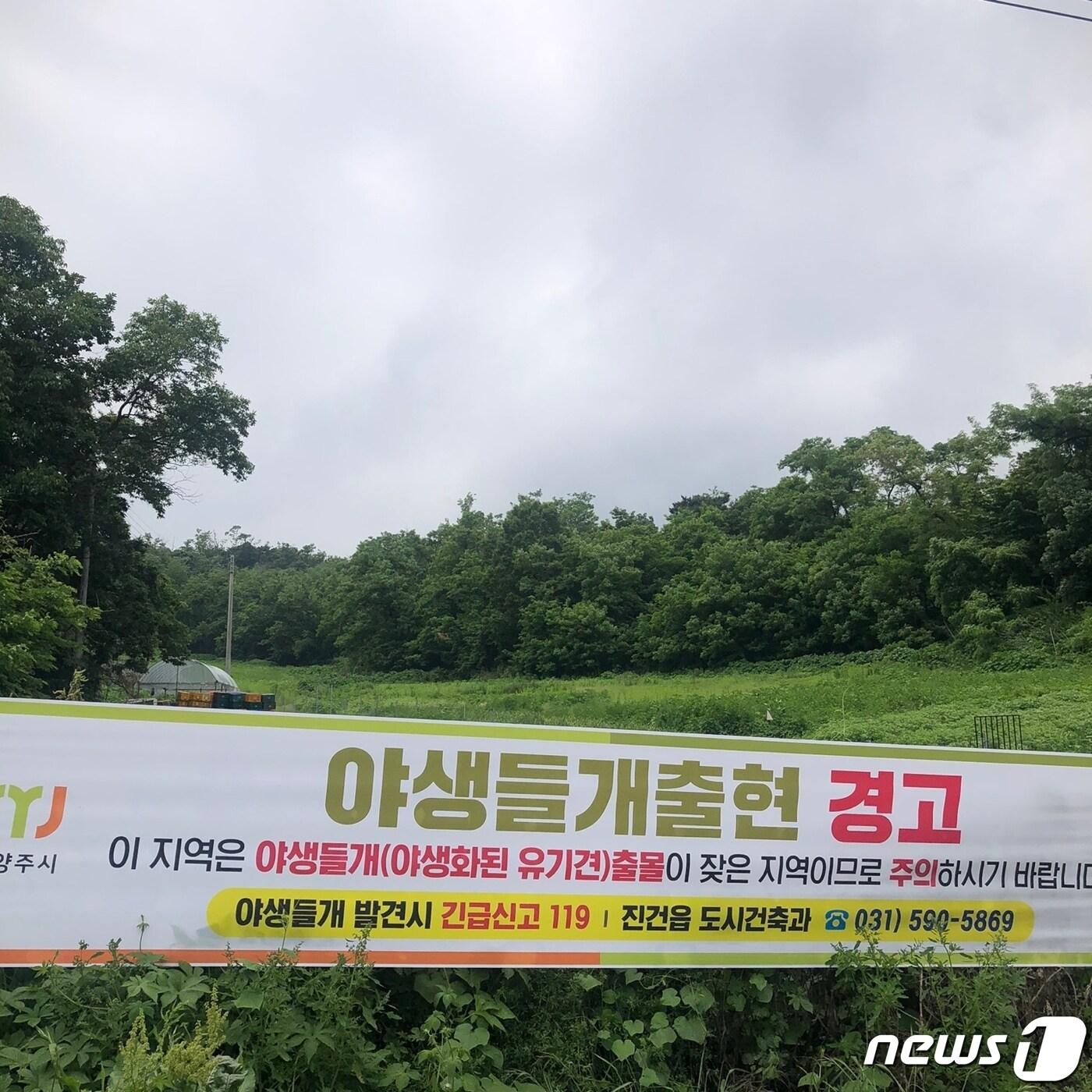 본문 이미지 - 남양주 진건읍 사능리 대형 유기견이 50대 여성을 습격해 숨지게 한 장소 일대 ⓒ 뉴스1