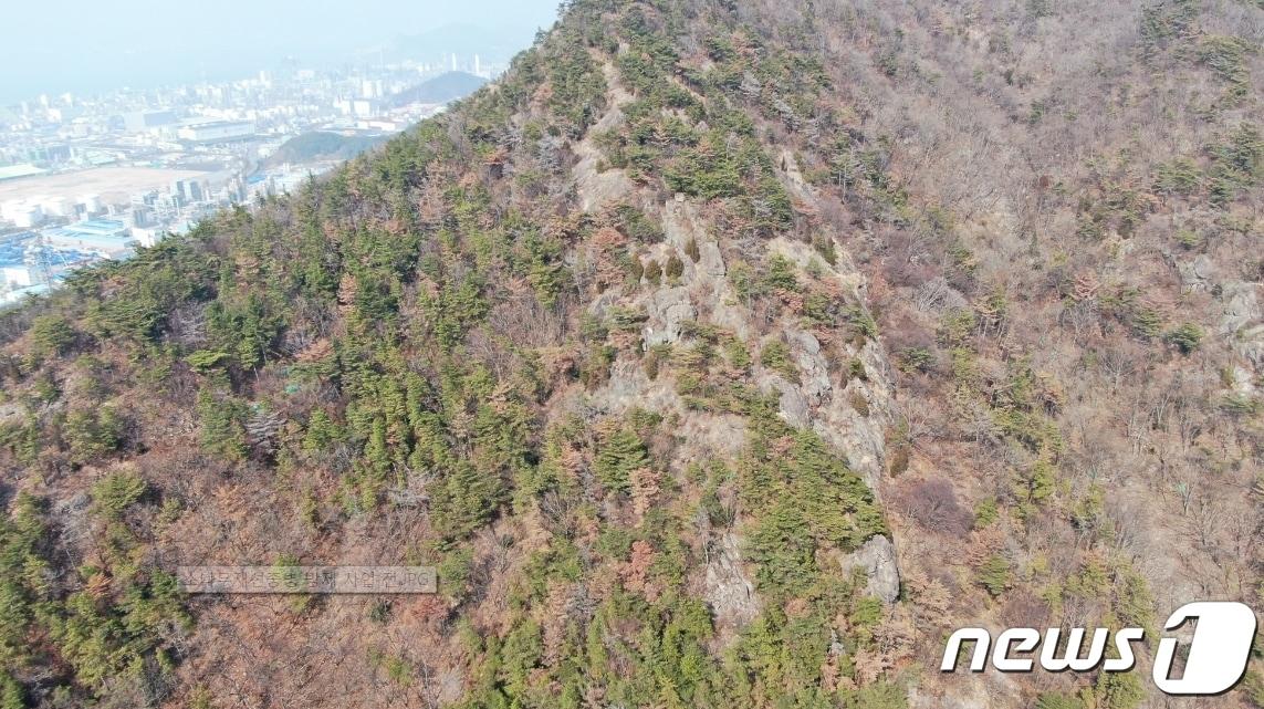 본문 이미지 - ⓒ 뉴스1