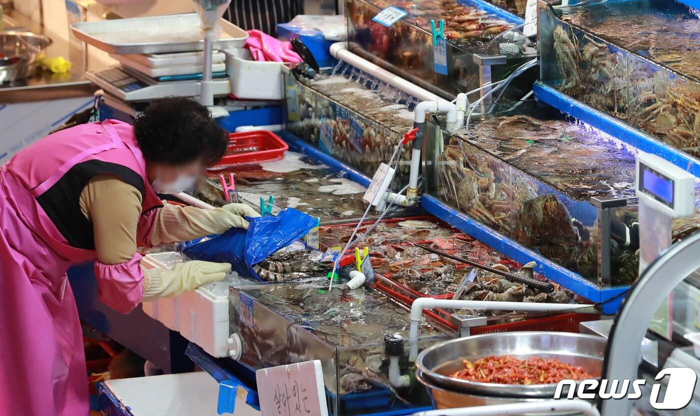 서울 동작구 노량진수산시장 (자료사진, 기사내용과 관련 없음) /뉴스1 ⓒ News1