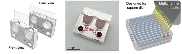 본문 이미지 - 혈액-뇌 장벽 칩 디자인 혈액-뇌 장벽 칩은 균의 스크리닝에 적합하도록 눕히거나 세워서 배양할 수 있게 제작됐으며, 많은 수의 칩을 동시에 실험할 수 있도록 디자인됐다. 제작된 칩의 도면 (왼쪽), 실제 사진 (가운데) 및 다수의 칩을 동시에 배양할 수 있는 플랫폼 구축(오른쪽). (그림 제공:연세대 조승우 교수) ⓒ 뉴스1