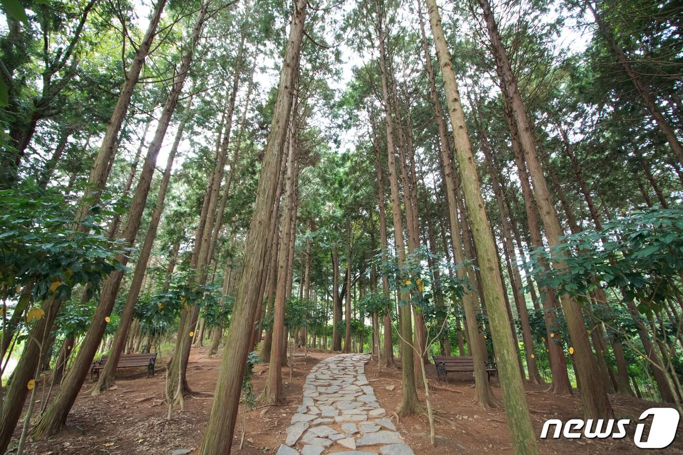 장흥 정남진 우드랜드ⓒ 뉴스1