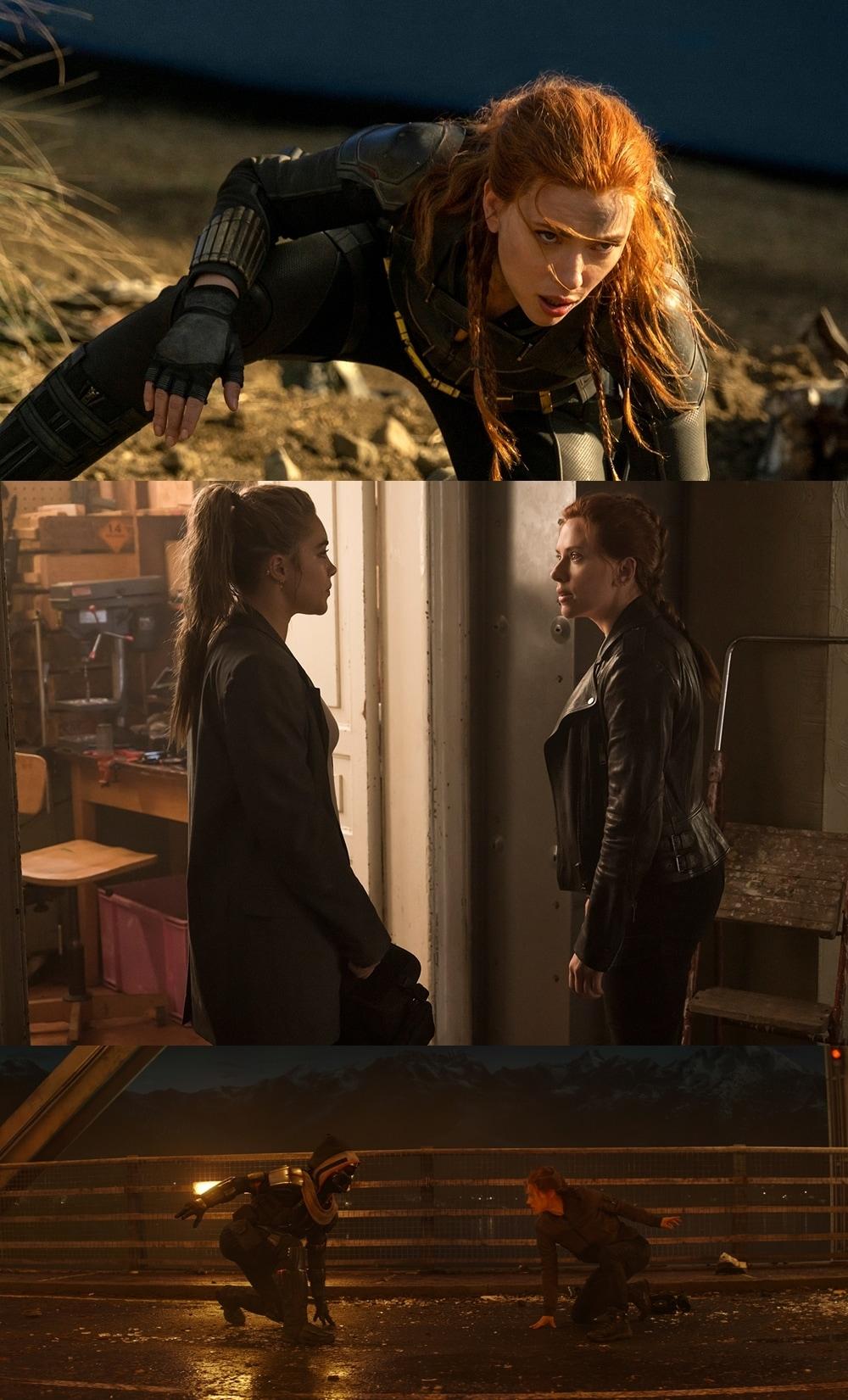 본문 이미지 - '블랙 위도우' 스틸/월트디즈니컴퍼니 코리아 제공 ⓒ 뉴스1