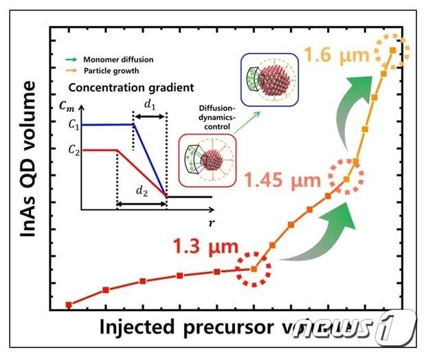 본문 이미지 - 반응물의 확산 속도 조절을 통한 콜로이드 InAs 양자점의 성장&#40;성균관대 박성민 석박통합과정 제공&#41; ⓒ뉴스1