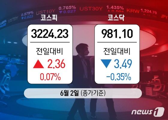 본문 이미지 - ⓒ News1 이은현 디자이너