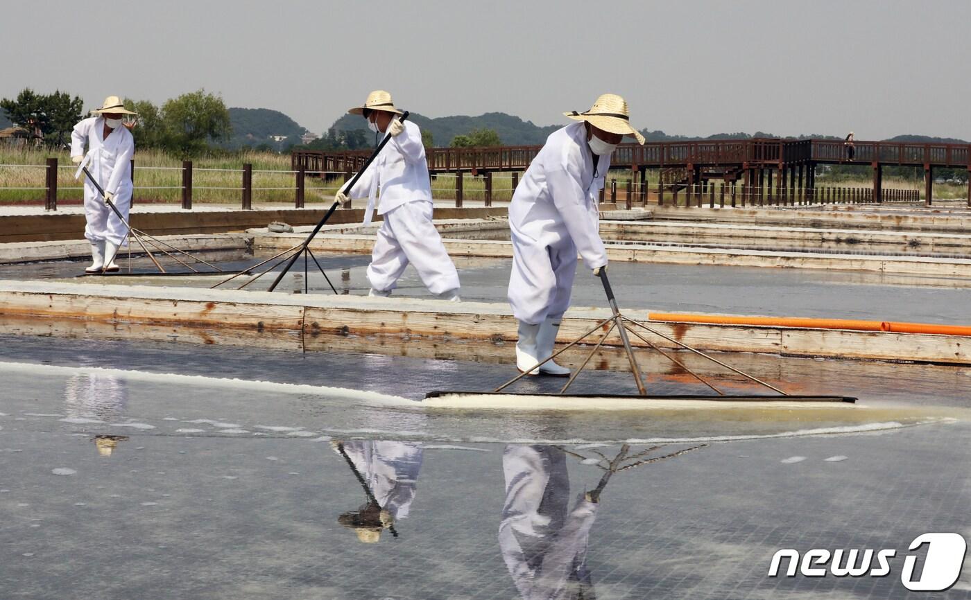  인천시 남동구 소래습지생태공원 염전에서 열린 올해 첫 천일염 생산을 알리는 채염식이 열리고 있다. 소래습지생태공원은 1930년대 중반 일제강점기 때 염전이 만들어져 1970년대 국내 최대 천일염 생산지였으나 소금생산이 중단되면서 방치됐던 폐염전을 중심으로 조성됐다. /뉴스1 ⓒ News1 정진욱 기자