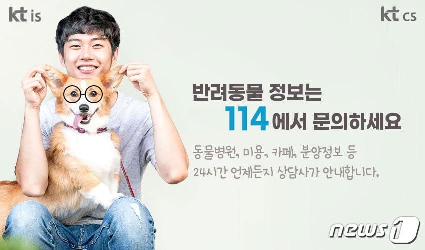 본문 이미지 - KT IS와 CS는 반려동물 관련 DB 약 19000개를 새롭게 정비해 안내한다고 밝혔다. ⓒ 뉴스1
