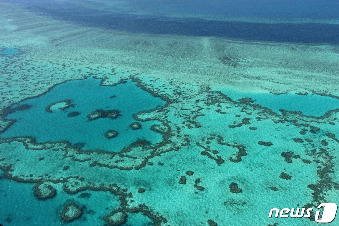 세계 최대의 산호초 지대인 그레이트 배리어 리프. 그레이트 배리어 리프는 면적 20만7000km, 길이 약 2000km, 너비 약 500~2000m로 세계 최대의 산호초다. ⓒ AFP=뉴스1 ⓒ News1 정윤영 기자