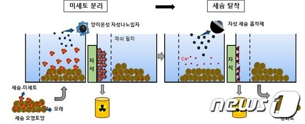 본문 이미지 - 자성 분리기술을 이용해 방사성 오염토양으로부터 세슘을 선택적으로 제거하는 모식도&#40;원자력연 제공&#41; ⓒ 뉴스1