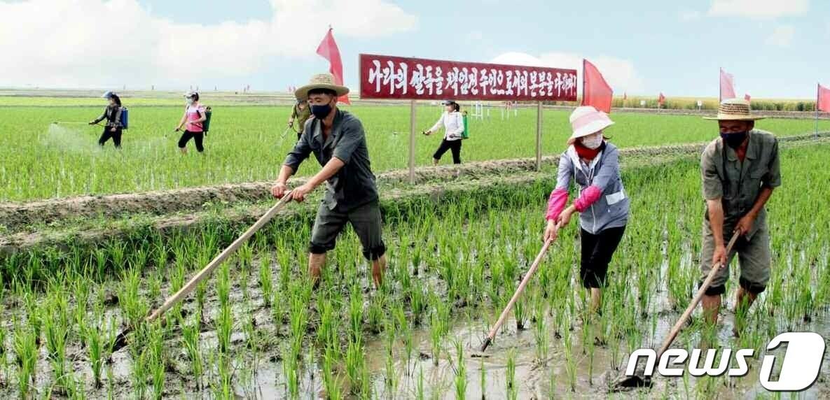 본문 이미지 - (평양 노동신문=뉴스1) = 북한 노동당 기관지 노동신문은 24일 '전투목표를 결사의 의지로 기어이 관철하리라'라는 제목으로 온 나라가 "당 중앙위원회 제8기 3차 전원회의 결정을 높이 받들고 산악같이 일떠섰다"라고 보도했다. [국내에서만 사용가능. 재배포 금지. DB 금지. For Use Only in the Republic of Korea. Redistribution Prohibited] rodongphoto@news1.kr