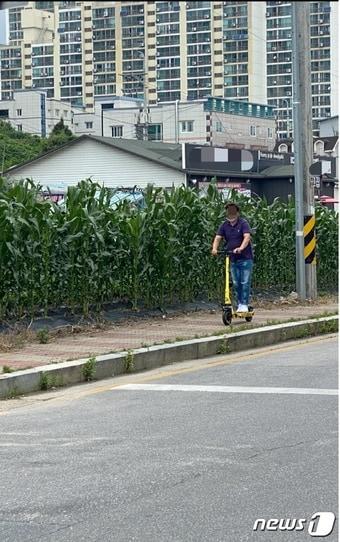 본문 이미지 - 전동 킥보드에 대한 도로교통법이 강화됐는데도 여전히 제천지역에서 안전모도 쓰지 않은체 인도를 운행하는 운전자들로 시민들이 불안해 하고 있다.2021.6.23 ⓒ 뉴스1 조영석 기자