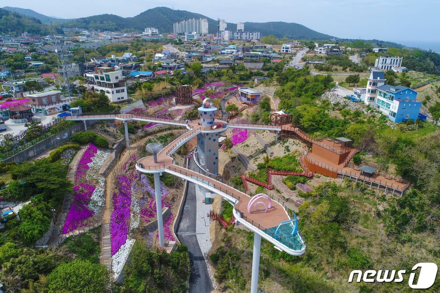 본문 이미지 - 25일 개장하는 동해 도째비골 스카이밸리.(동해시 제공) 2021.6.24./뉴스1