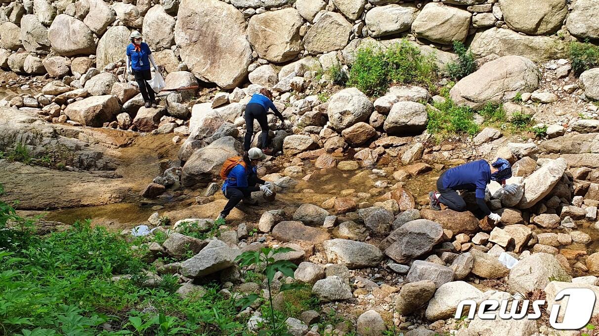 본문 이미지 - 북한산 국립공원 직원들과 산악안전봉사단원들이 27일 서울 은평구 북한산국립공원에서 환경정화 봉사활동을 하고 있다. (북한산국립공원 제공) 2021.6.27/뉴스1
