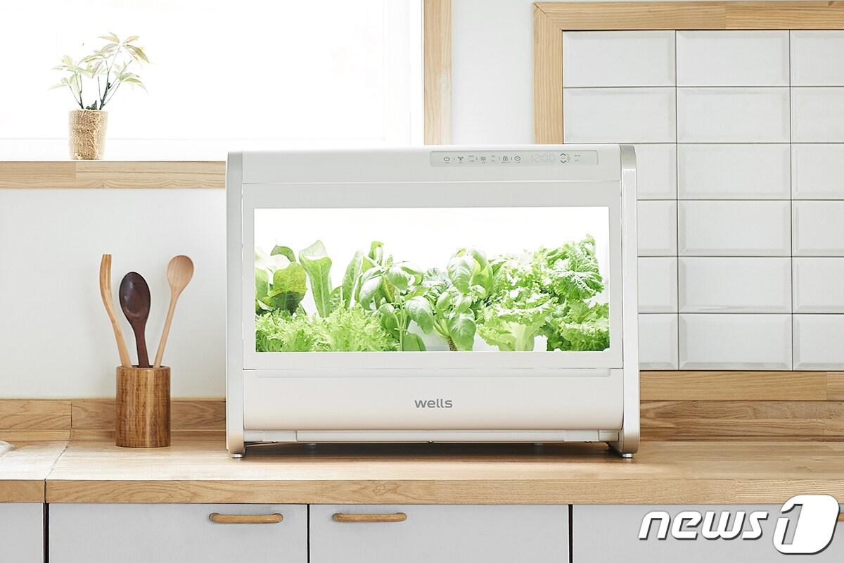 본문 이미지 - 가정용 식물재배기 ‘웰스팜’ ⓒ 뉴스1