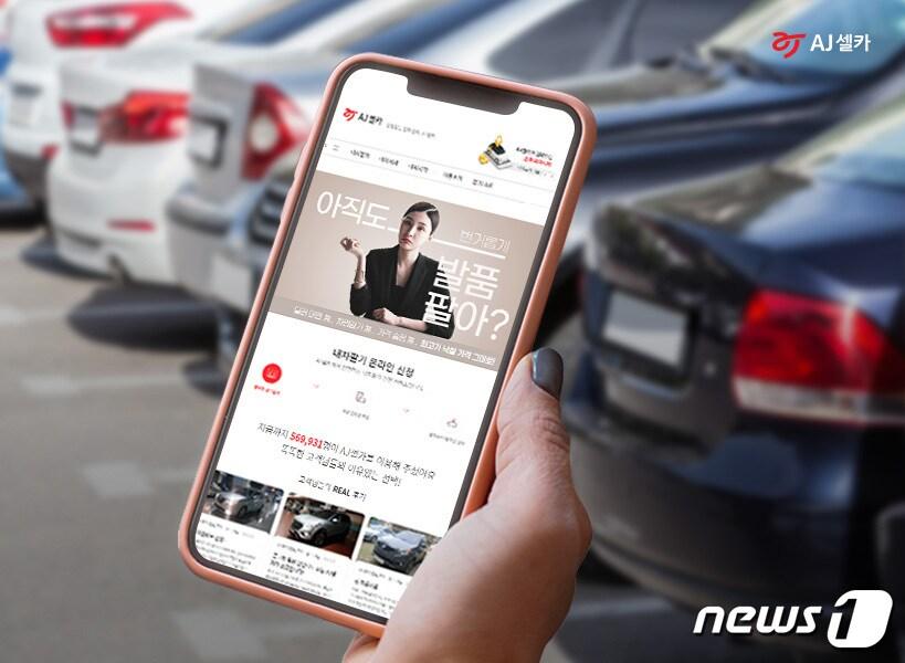 본문 이미지 - (AJ셀카 제공) ⓒ 뉴스1