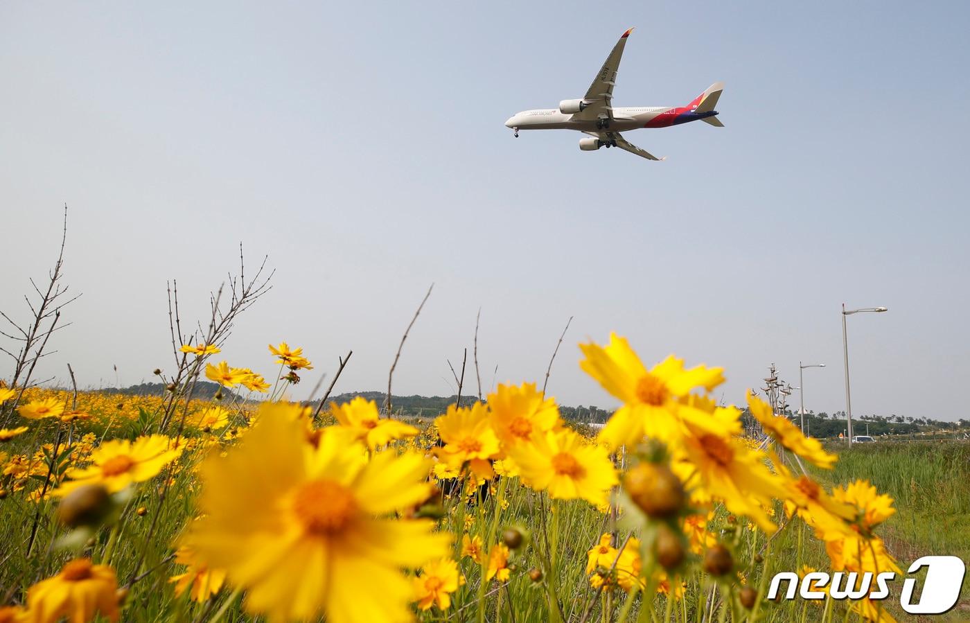 사진은 9일 인천공항 주변 하늘공원 인근에서 바라본 모습. 2021.6.9/뉴스1 ⓒ News1 권현진 기자